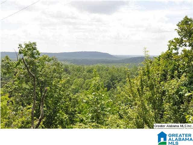 791 Ridgeview Lake Road Alabaster, AL 35007 - Photo 1 of 1