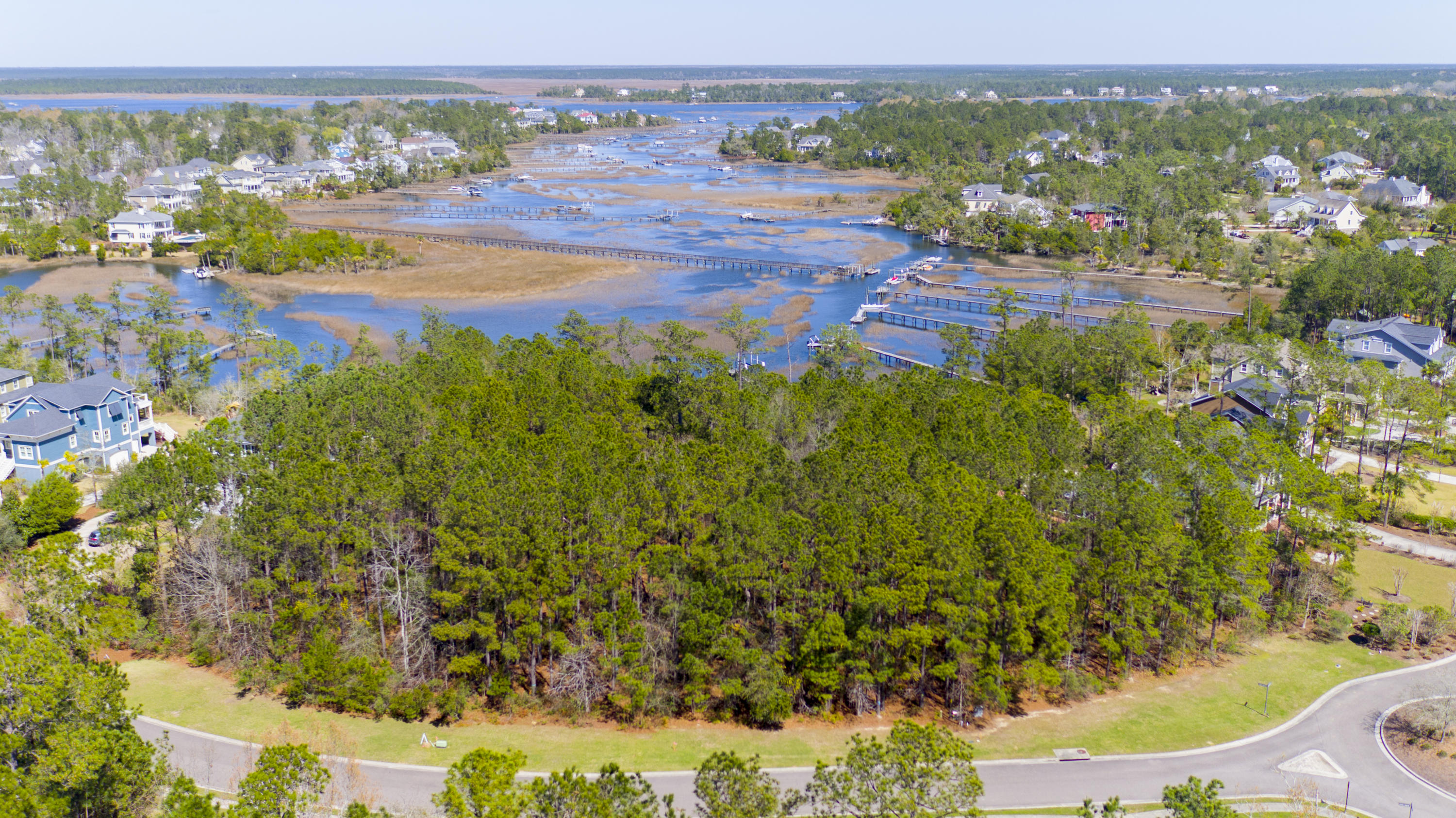 3642 Coastal Crab Road Mount Pleasant, SC 29466 - Photo 6 of 18 3642CostalCrabRd_Edited_001
