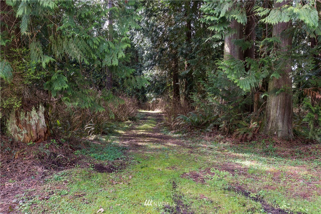 21629 Bulson Road Mount Vernon, WA 98274 - Photo 19 of 24 Gallery Image 19