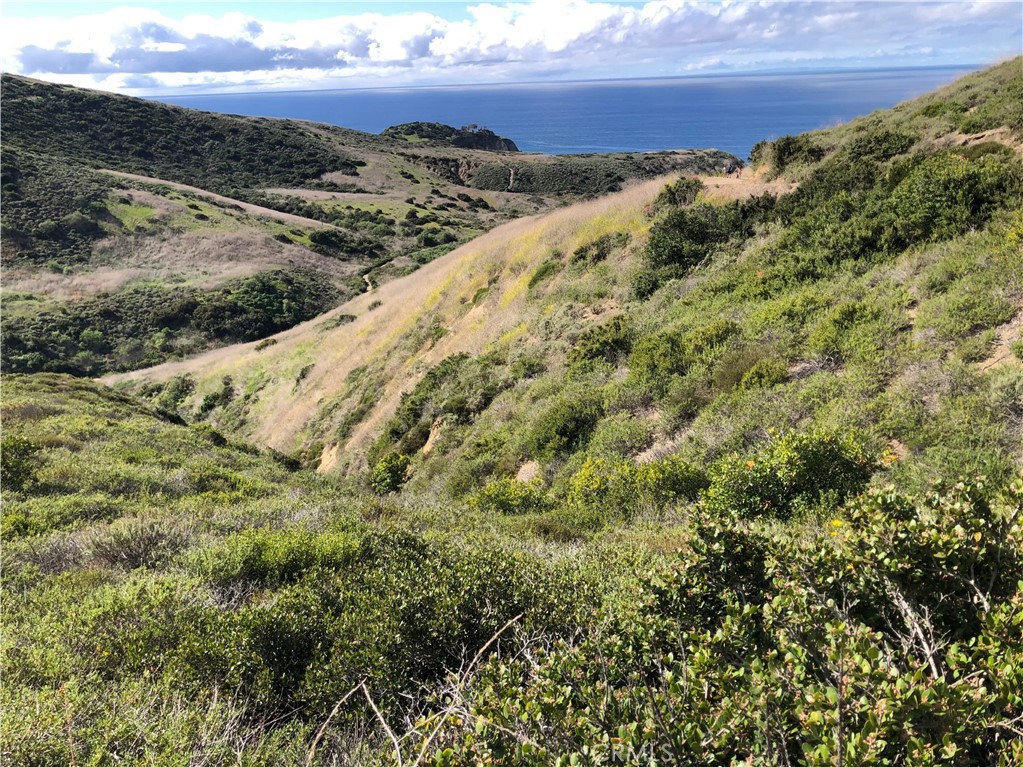 362 Pinecrest Drive Laguna Beach, CA 92651 - Photo 29 of 32