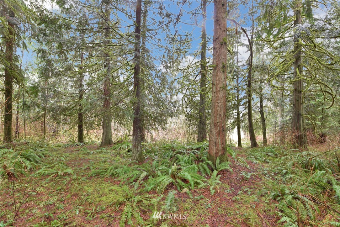15628 Utley Road, Unit LOT 3 Snohomish, WA 98290 - Photo 3 of 16 a big yard with lots of green space and trees