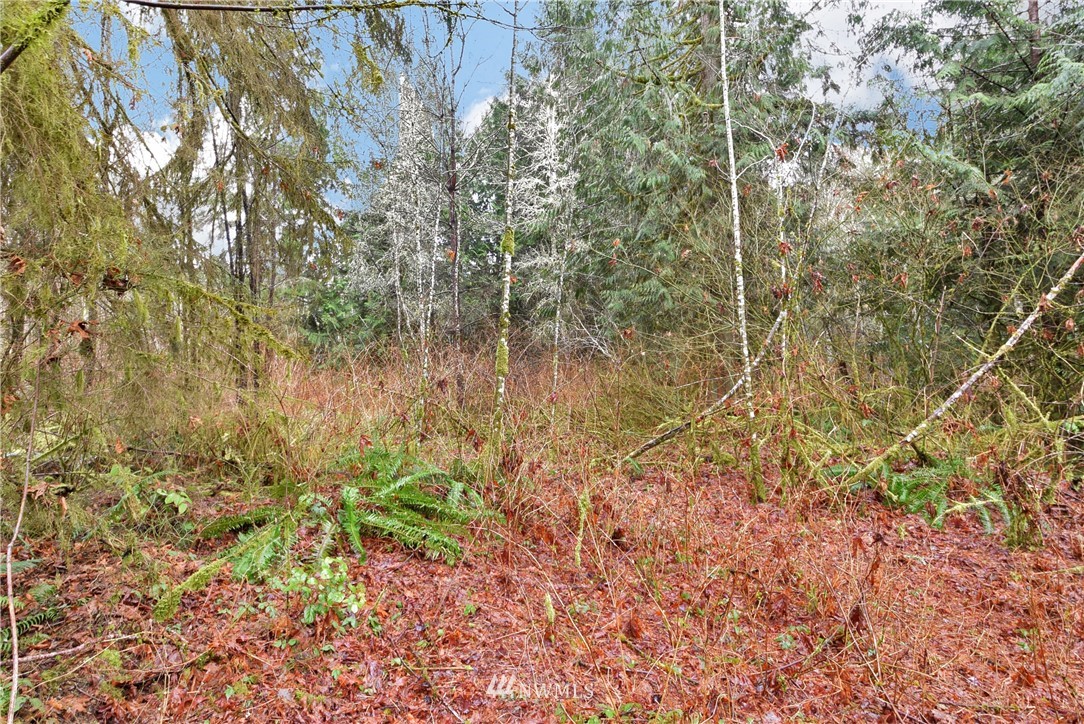 15628 Utley Road, Unit LOT 3 Snohomish, WA 98290 - Photo 6 of 16 a view of a yard with plants and wooden fence