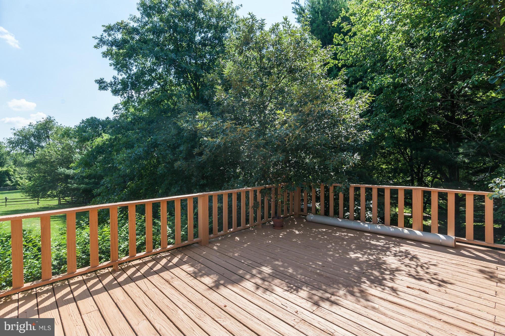 12642 Scaggsville Road Highland, MD 20777 - Photo 30 of 30 Exterior (Rear)
