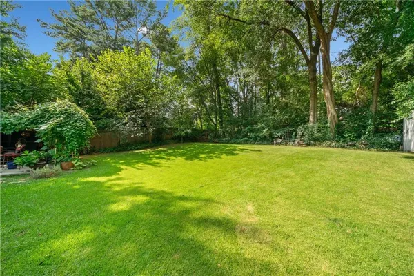 a view of a park with large trees