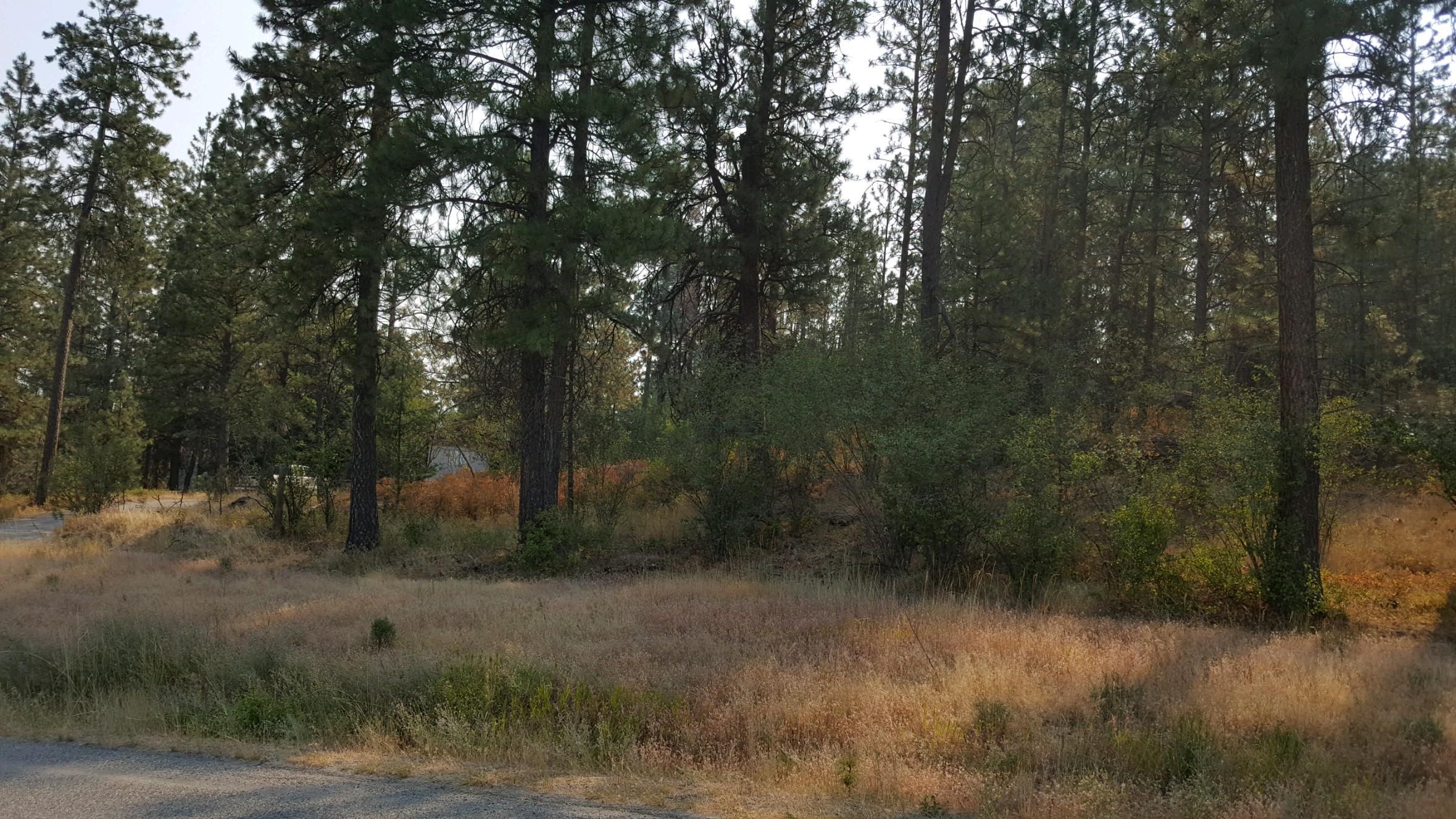 1556 South Madison Road Post Falls, ID 83854 - Photo 1 of 1 photo