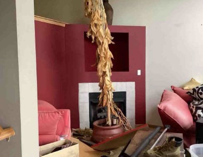 21612 Wildflower Road, Unit 1134 Matteson, IL 60443 - Photo 7 of 10