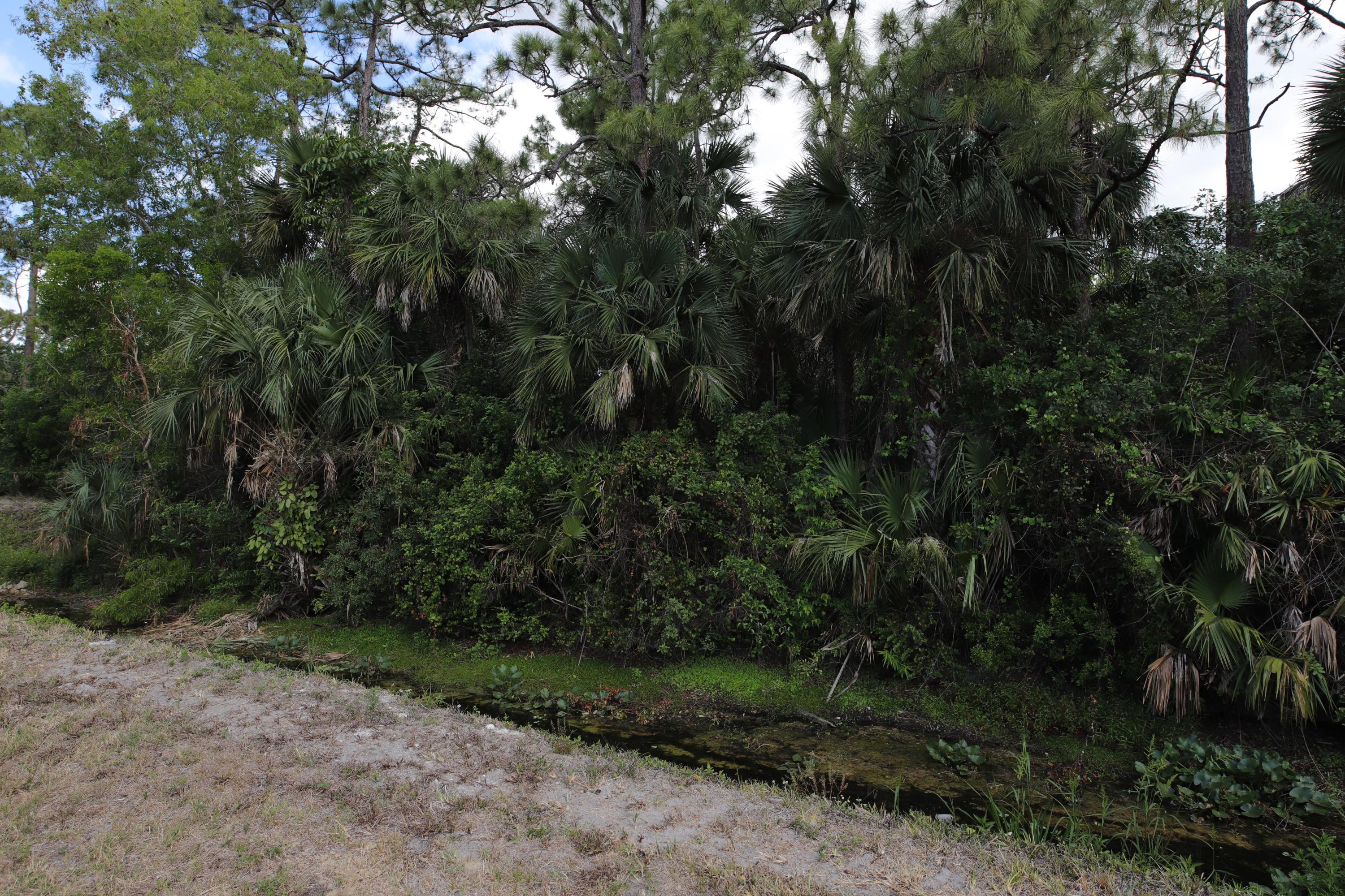 Tbd Sandy Run Road Jupiter, FL 33478 - Photo 15 of 26 Sandy Run Canal Side