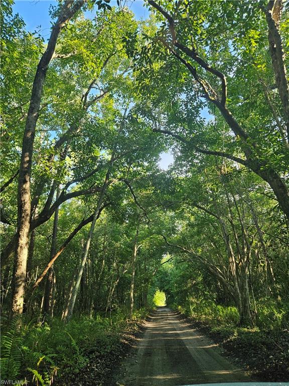 11170 Lager Road Naples, FL 34114 - Photo 12 of 24