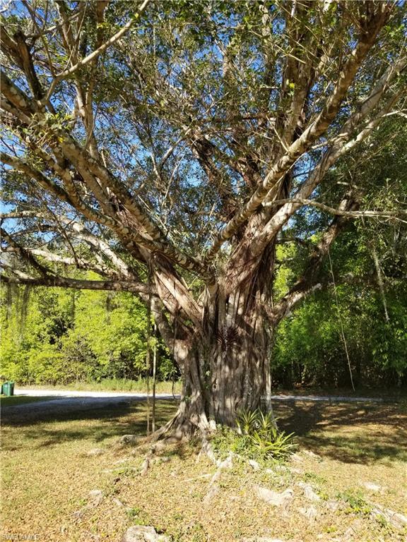 11170 Lager Road Naples, FL 34114 - Photo 14 of 24