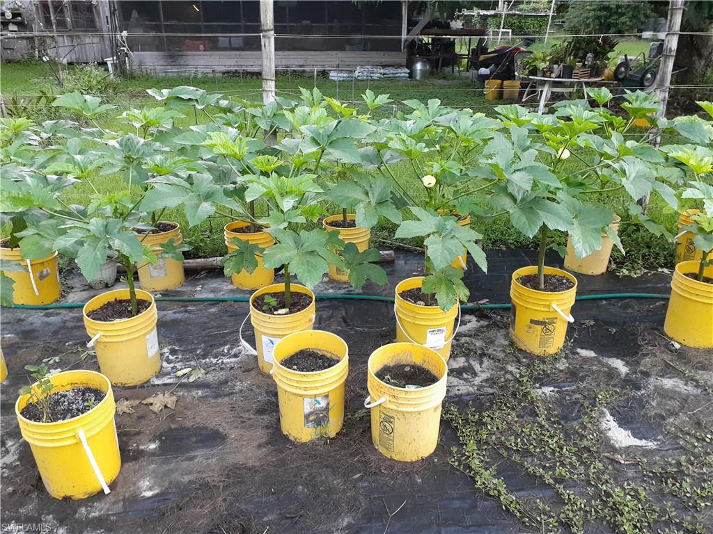 11170 Lager Road Naples, FL 34114 - Photo 19 of 24