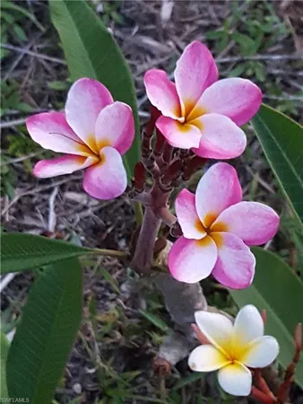 $450,000 | 11170 Lager Road, Naples, FL 34114