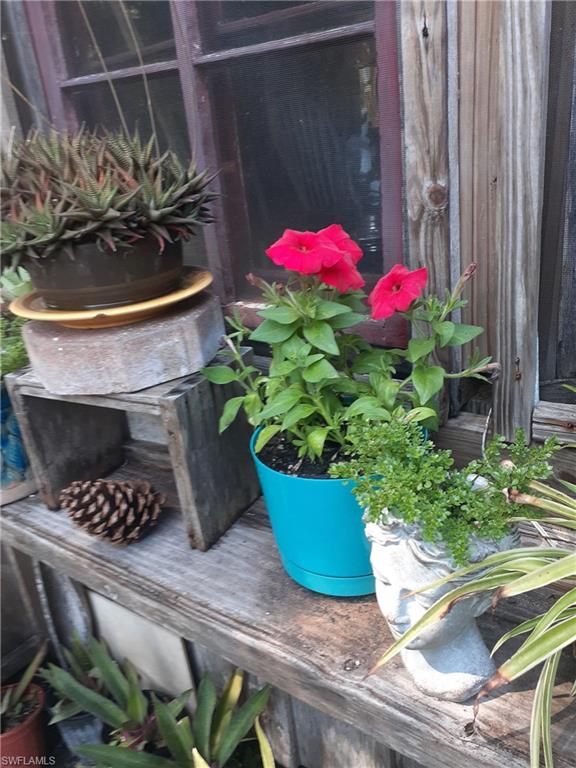 11170 Lager Road Naples, FL 34114 - Photo 9 of 24