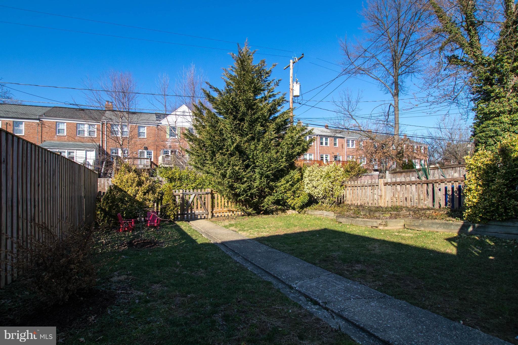 128 Overbrook Road Baltimore, MD 21212 - Photo 25 of 29 a view of a yard with plants and large trees