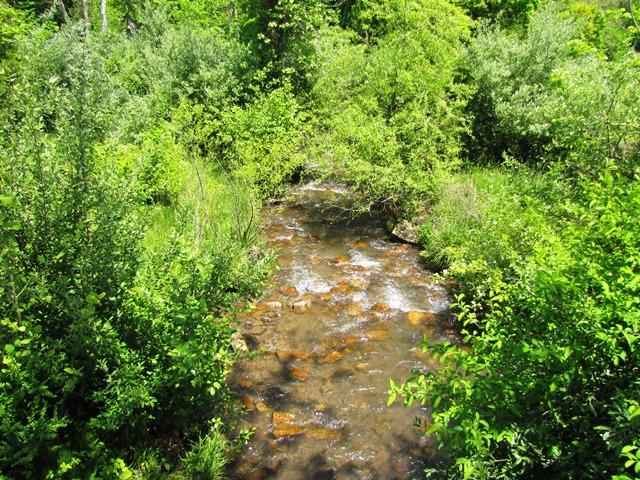 329 Trout Run Road Waiteville, WV 24984 - Photo 61 of 91 Gallery Image 61