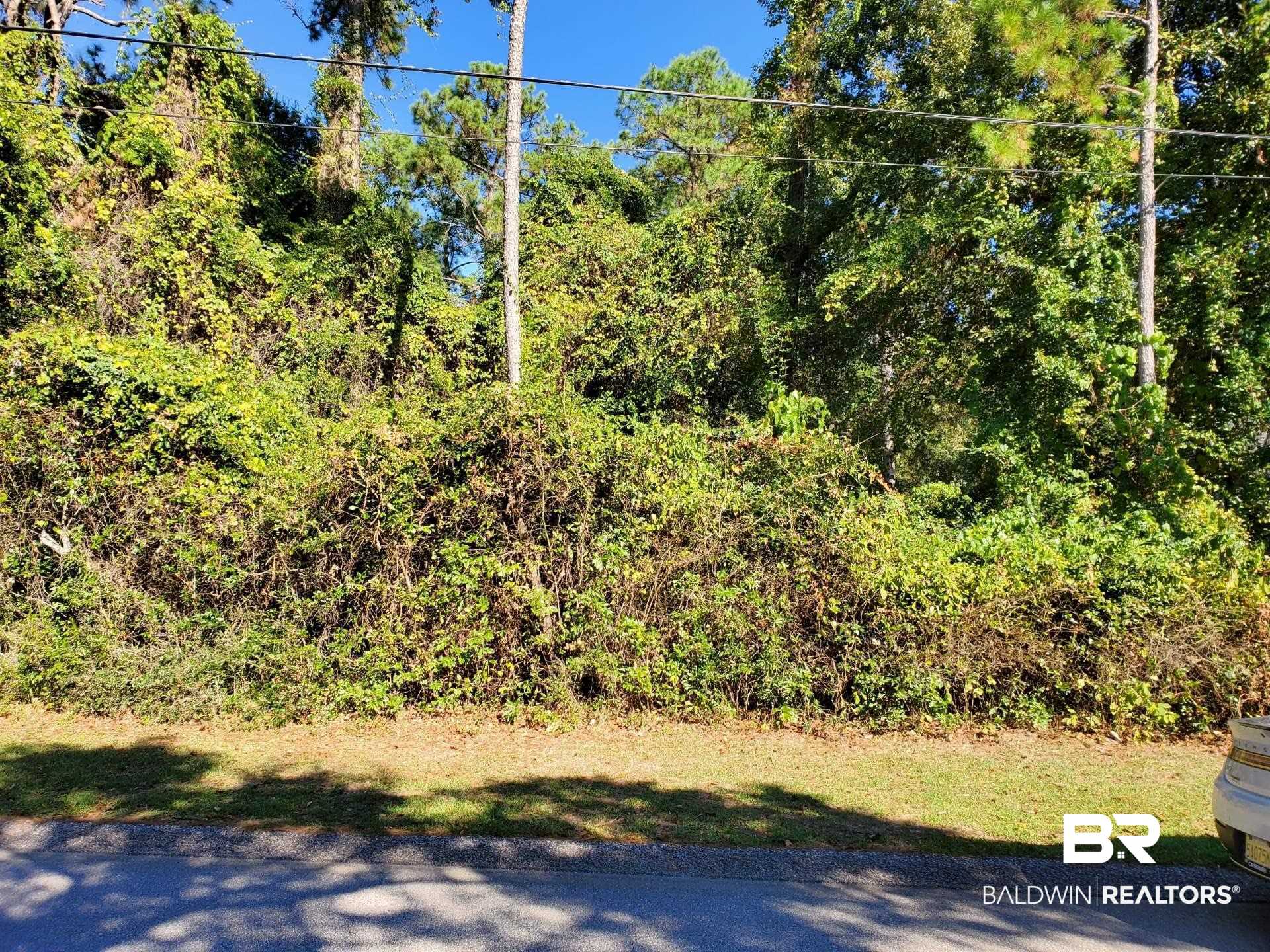 105 Michael Loop Daphne, AL 36526 - Photo 1 of 3