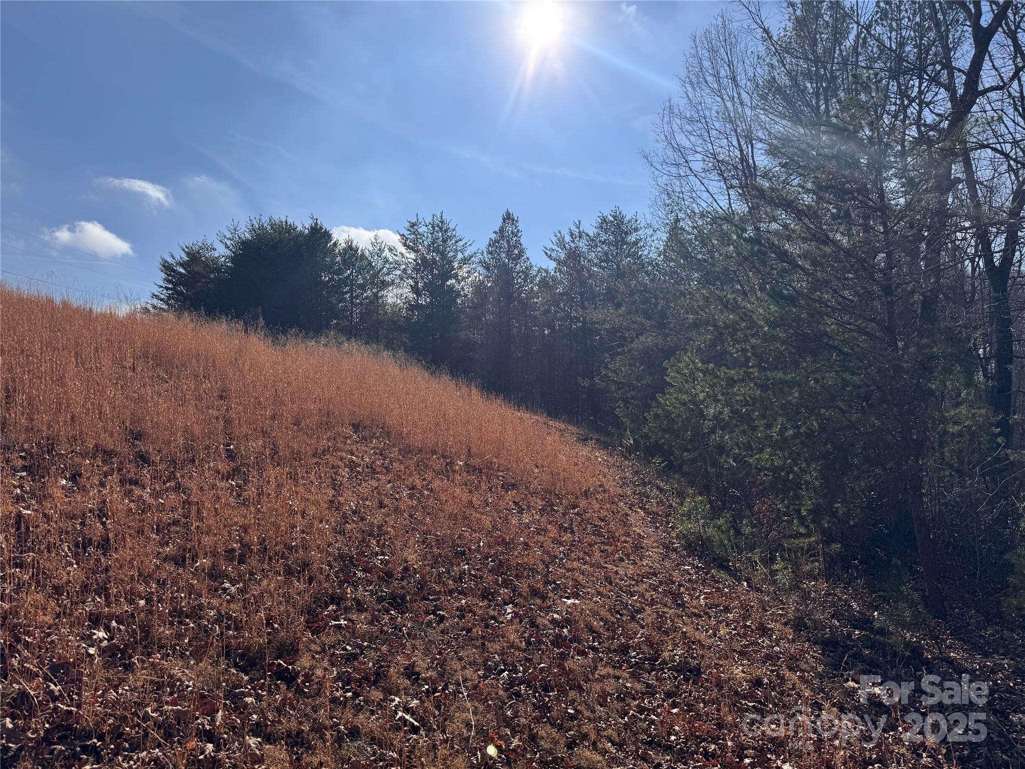 0 Virginia Ridge, Unit 57 Connelly Springs, NC 28612 - Photo 11 of 12 a view of a yard