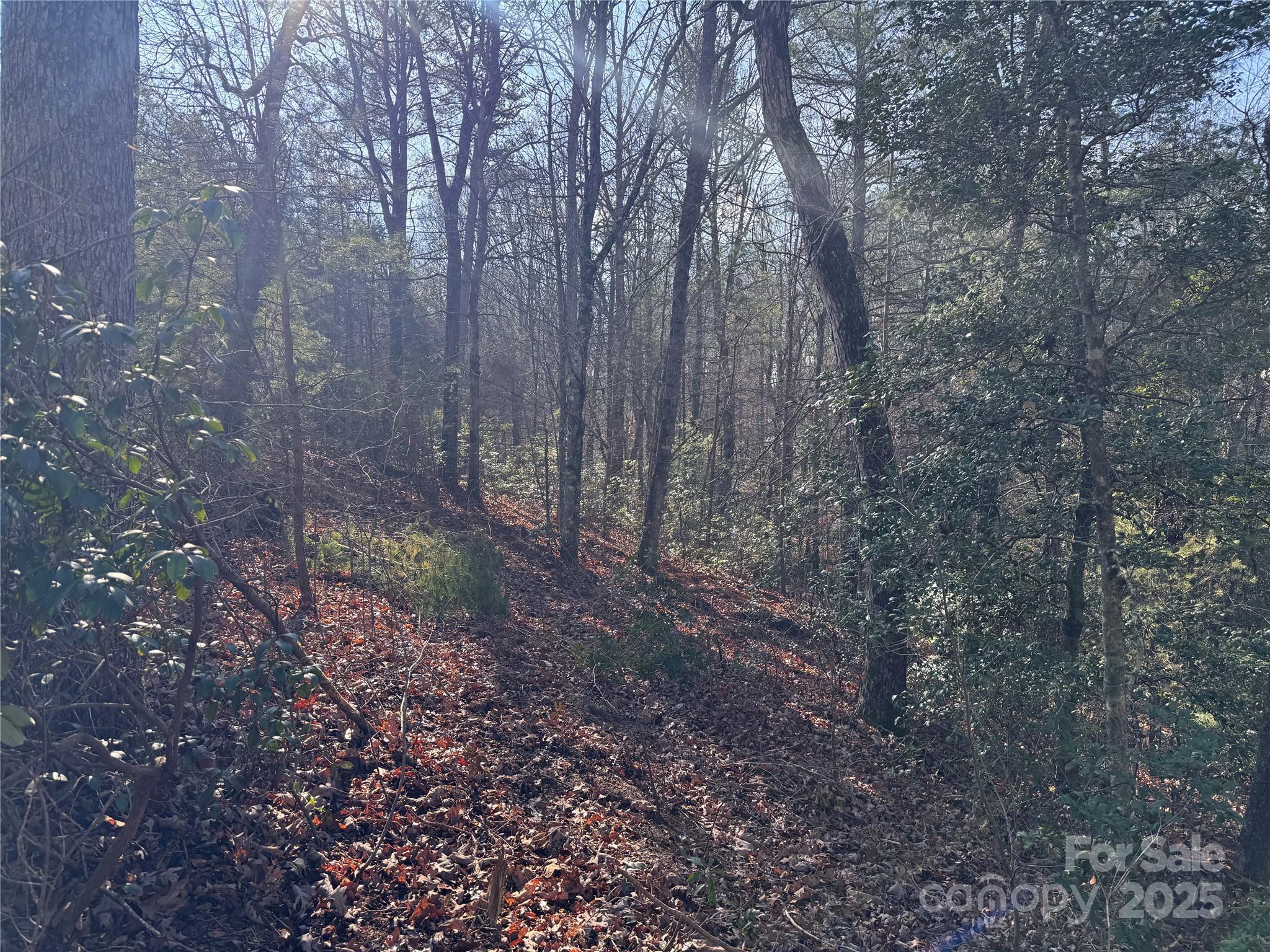 0 Virginia Ridge, Unit 57 Connelly Springs, NC 28612 - Photo 12 of 12 a view of a yard with lots of green space