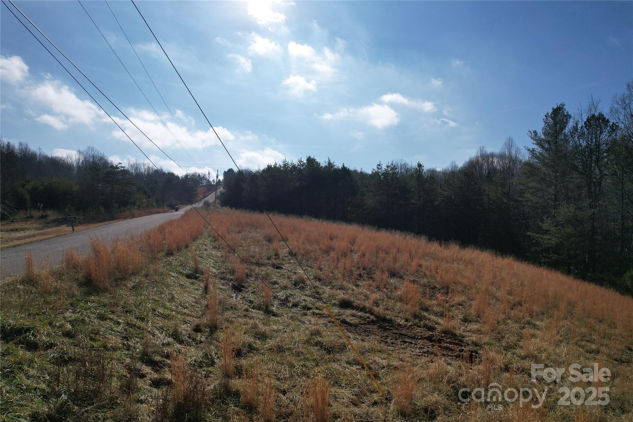 0 Virginia Ridge, Unit 57 Connelly Springs, NC 28612 - Photo 3 of 12 a view of a backyard of a house