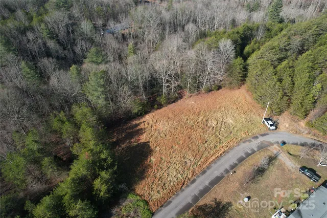 a view of a dry yard with wooden fence