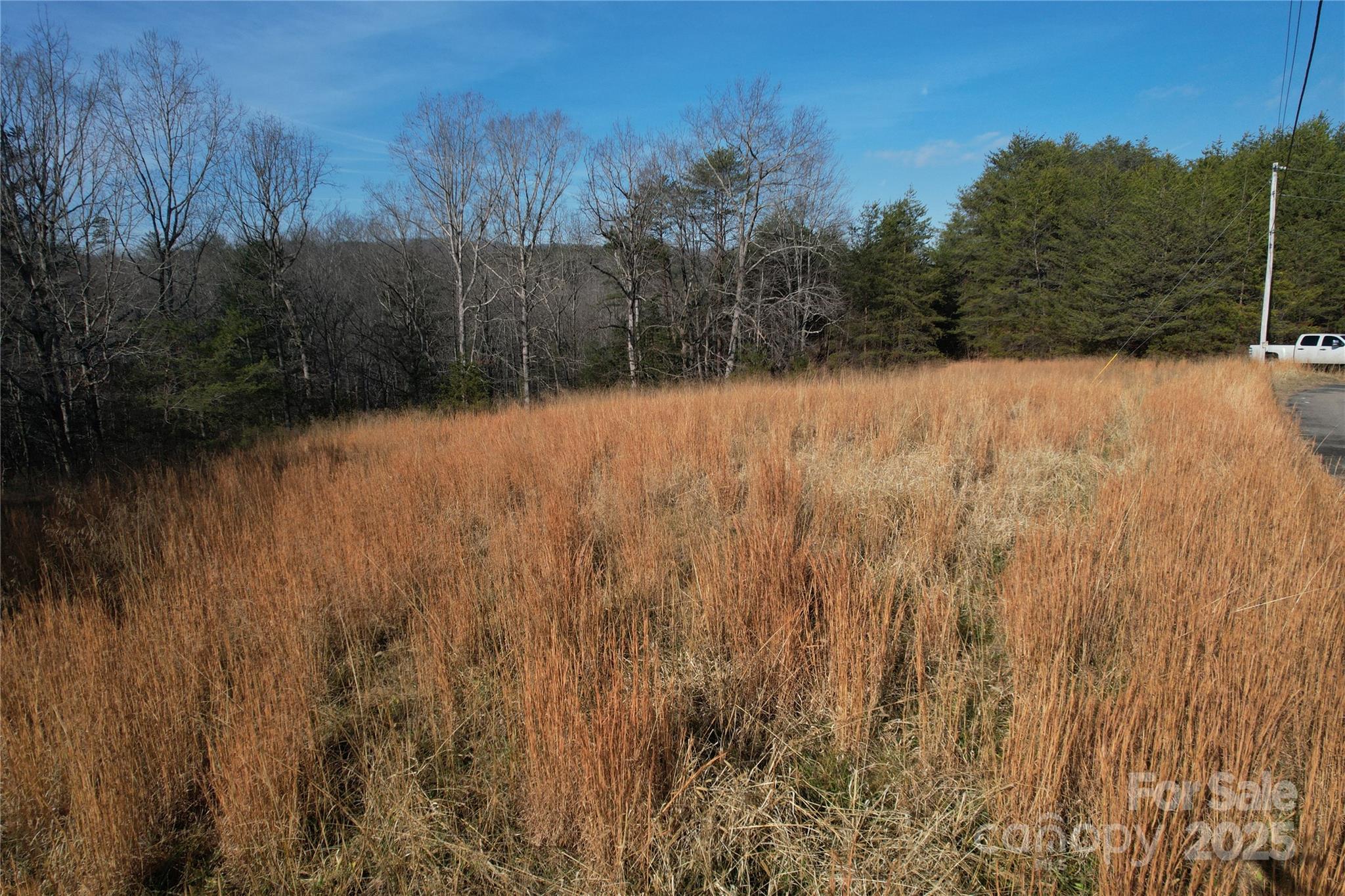 0 Virginia Ridge, Unit 57 Connelly Springs, NC 28612 - Photo 6 of 12 a view of a yard