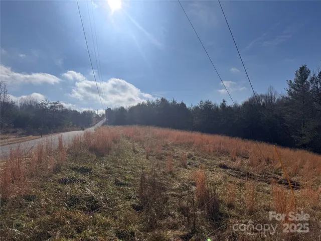 a view of a dry yard