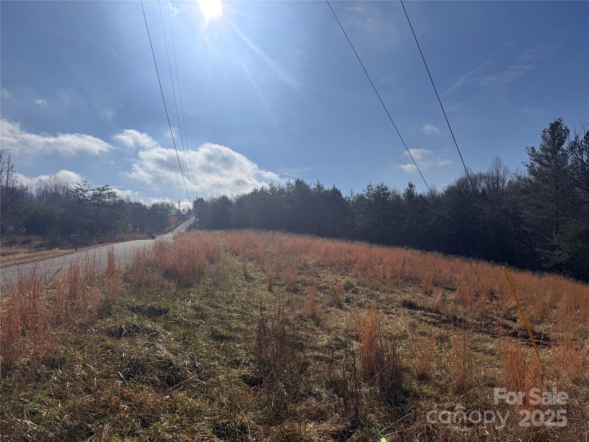 0 Virginia Ridge, Unit 57 Connelly Springs, NC 28612 - Photo 7 of 12 a view of a dry yard