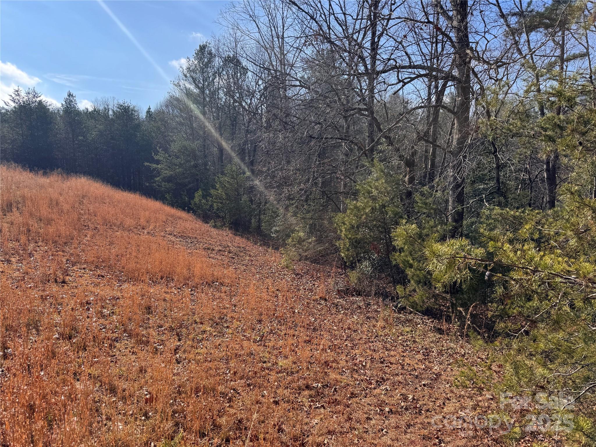 0 Virginia Ridge, Unit 57 Connelly Springs, NC 28612 - Photo 9 of 12 a view of a yard with a tree