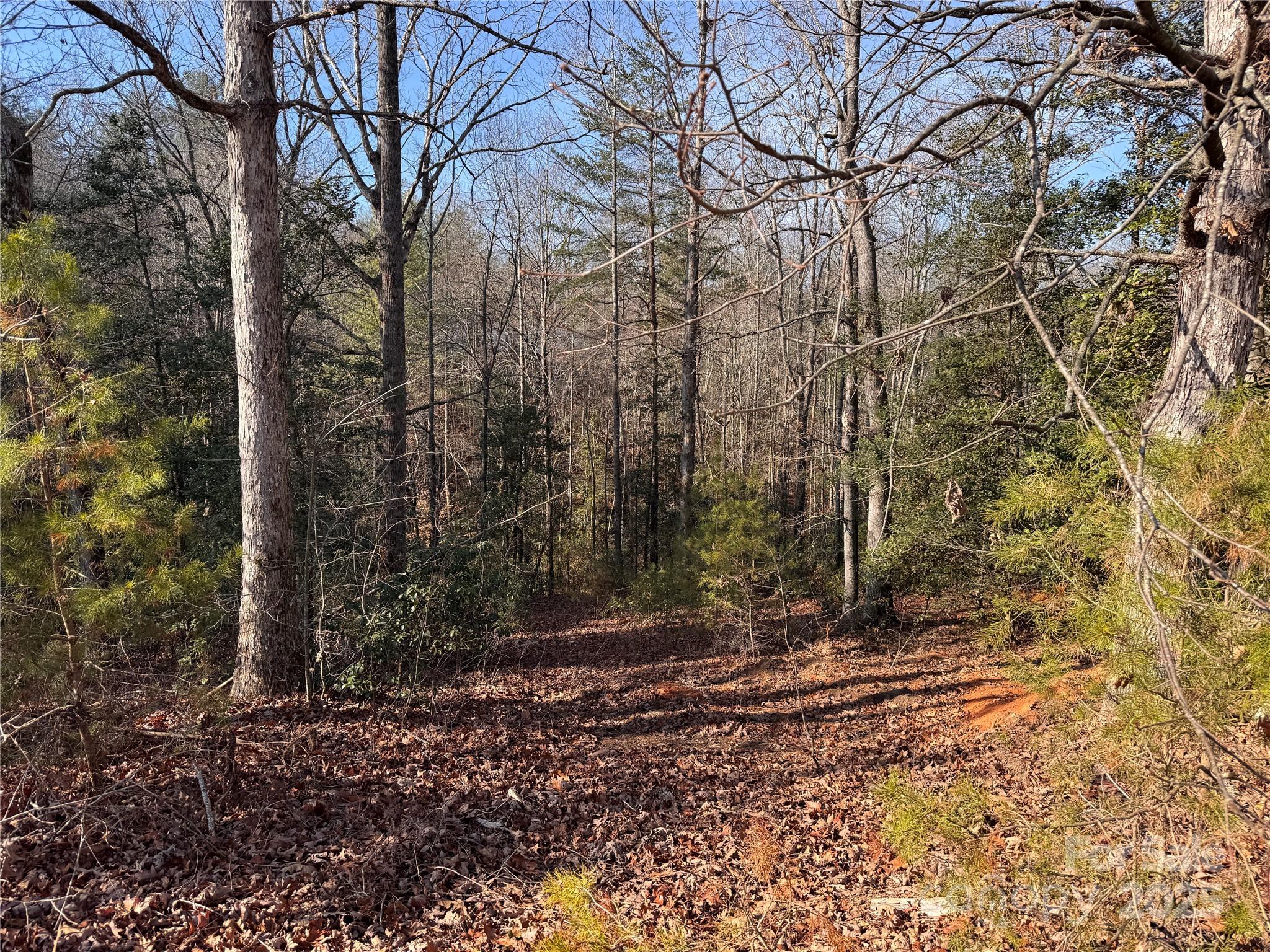 0 Virginia Ridge, Unit 57 Connelly Springs, NC 28612 - Photo 10 of 12 a view of a yard with trees