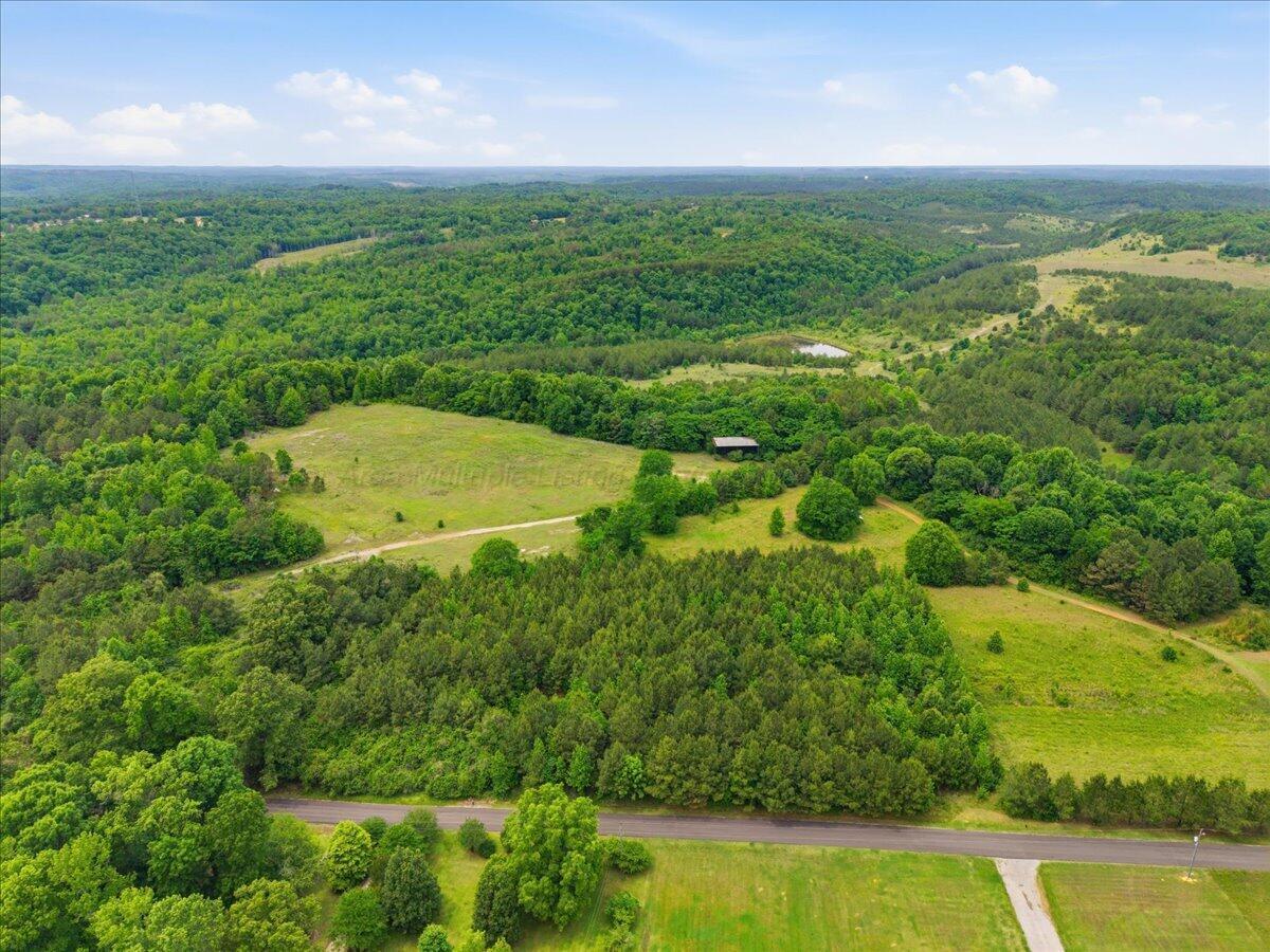 930 Browns Road Parrish, AL 35580 - Photo 15 of 20 Gallery Image 15