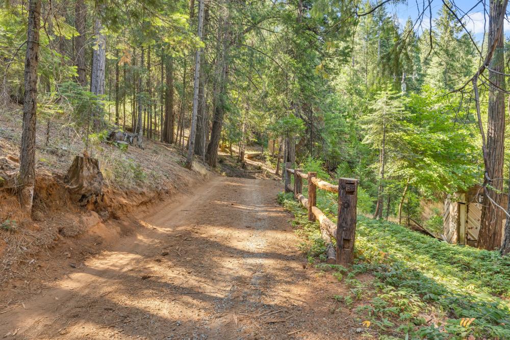 6148 Little Mountain Road Somerset, CA 95684 - Photo 30 of 39 a view of a yard with trees