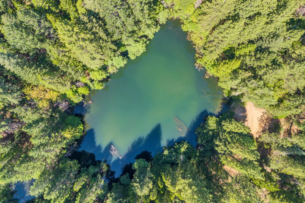 6148 Little Mountain Road Somerset, CA 95684 - Photo 34 of 39