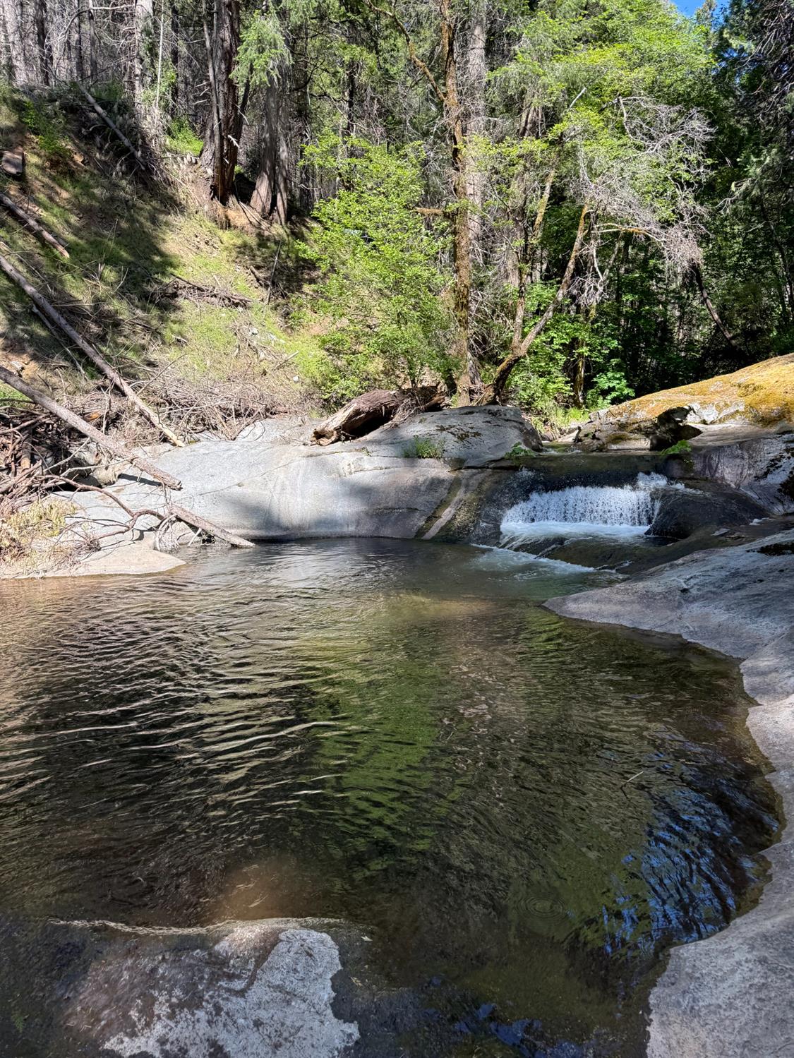 6148 Little Mountain Road Somerset, CA 95684 - Photo 38 of 39