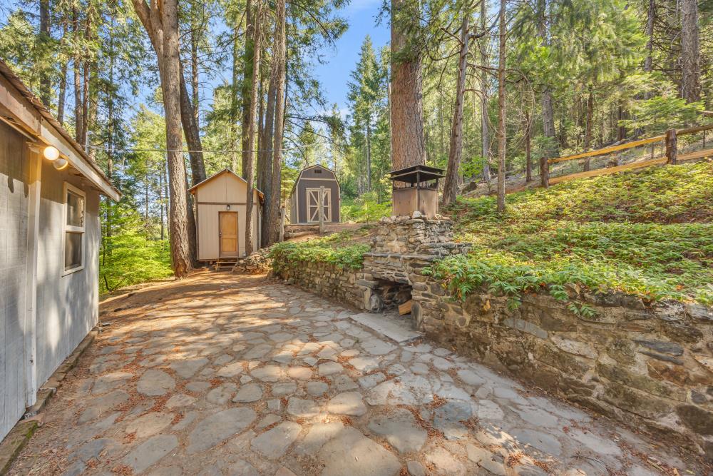 6148 Little Mountain Road Somerset, CA 95684 - Photo 4 of 39 a view of a yard with plants and large trees