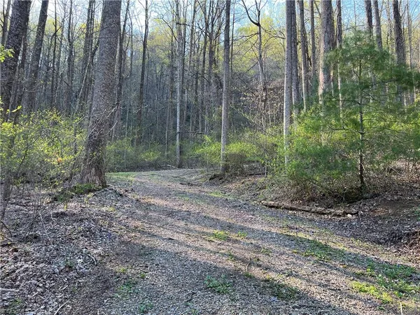 $4,500 | Tbd North Ledge Trail, Fancy Gap, VA 24328