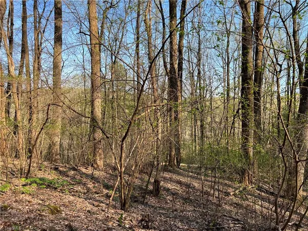 $4,500 | Tbd North Ledge Trail, Fancy Gap, VA 24328