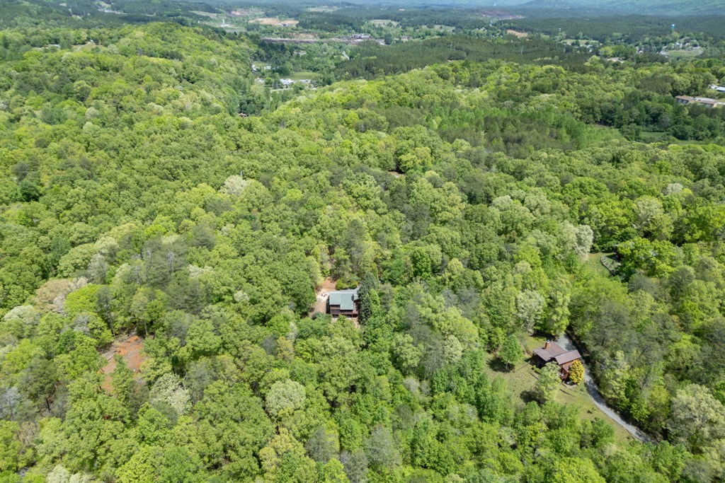 1204 Brookhaven Lane Blue Ridge, GA 30513 - Photo 34 of 44