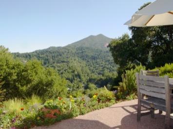 45 Rock Road Kentfield, CA 94904 - Photo 4 of 10 a view of a back yard