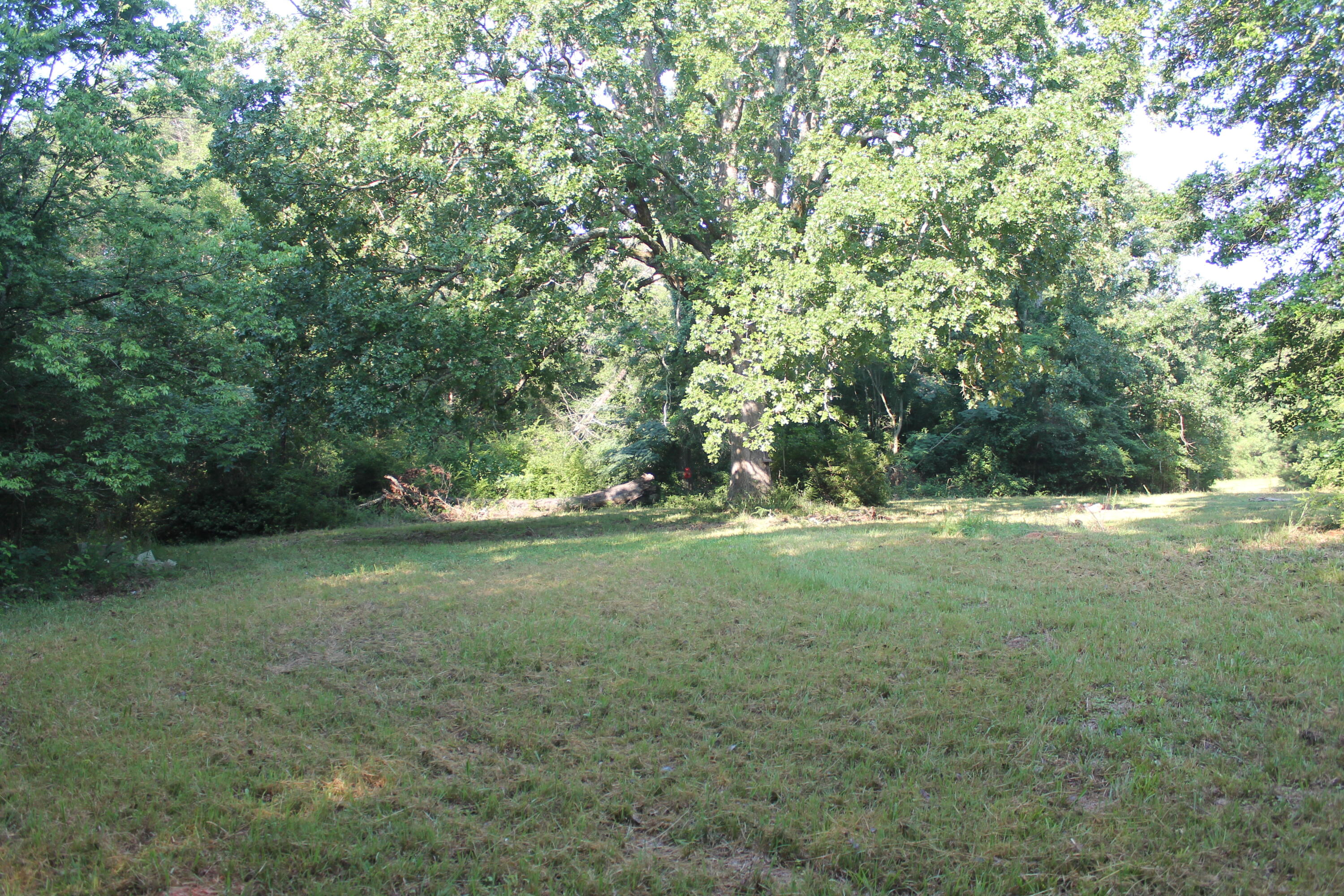 1200 B Highway McCormick, SC 29835 - Photo 9 of 11 a view of a field with trees in the background