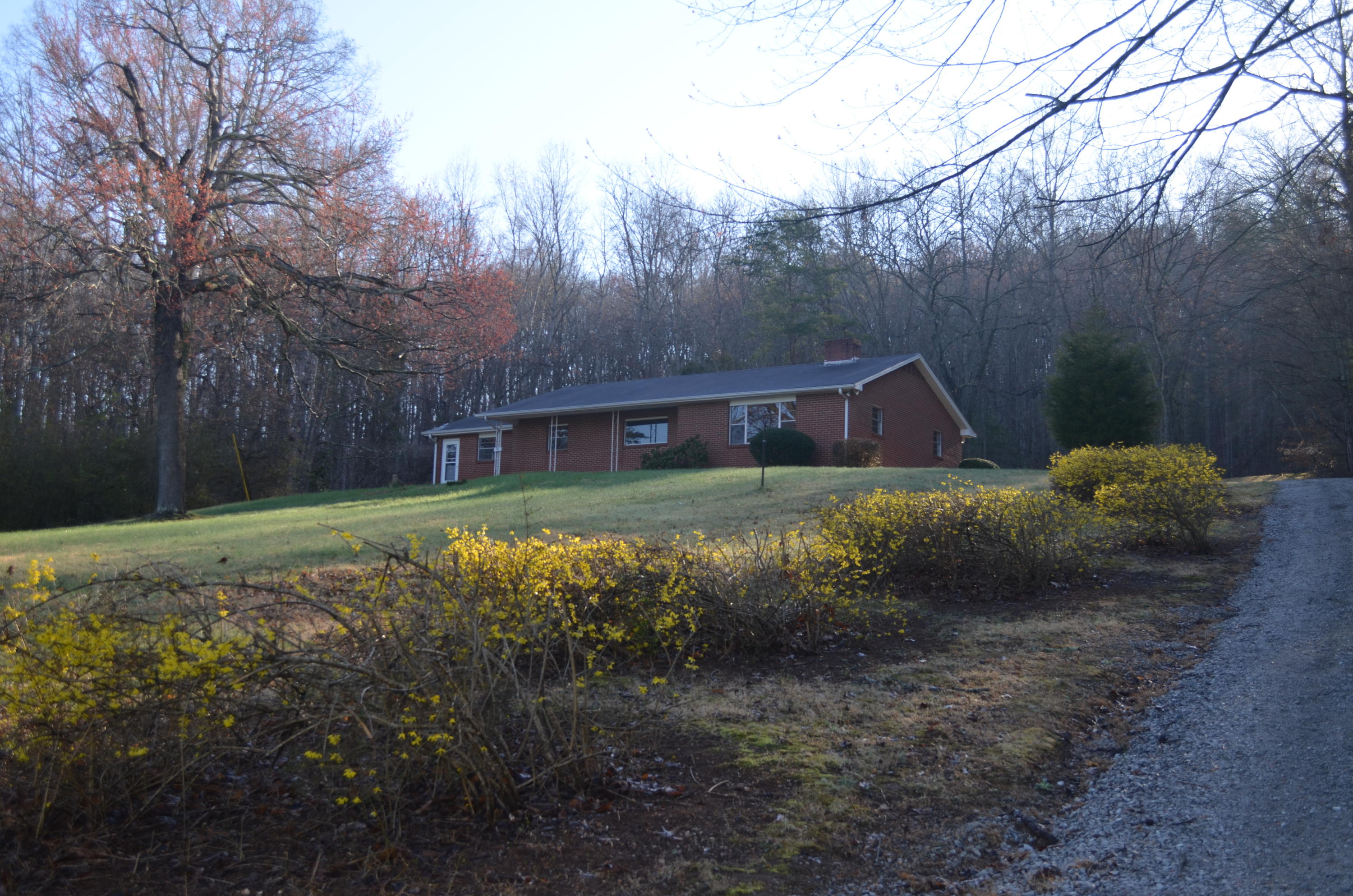 2319 River Road Kingston, TN 37763 - Photo 4 of 24 DSC_0902.JPG