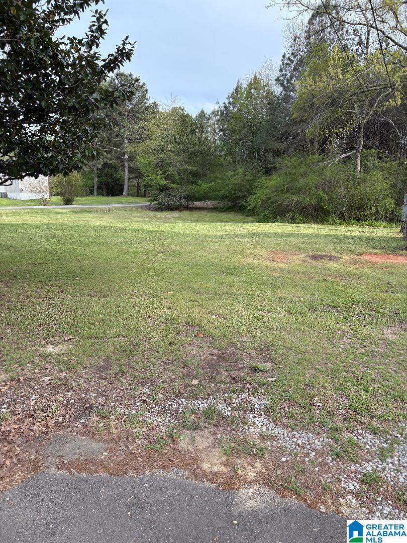375 Fire Tower Road Cordova, AL 35550 - Photo 21 of 22