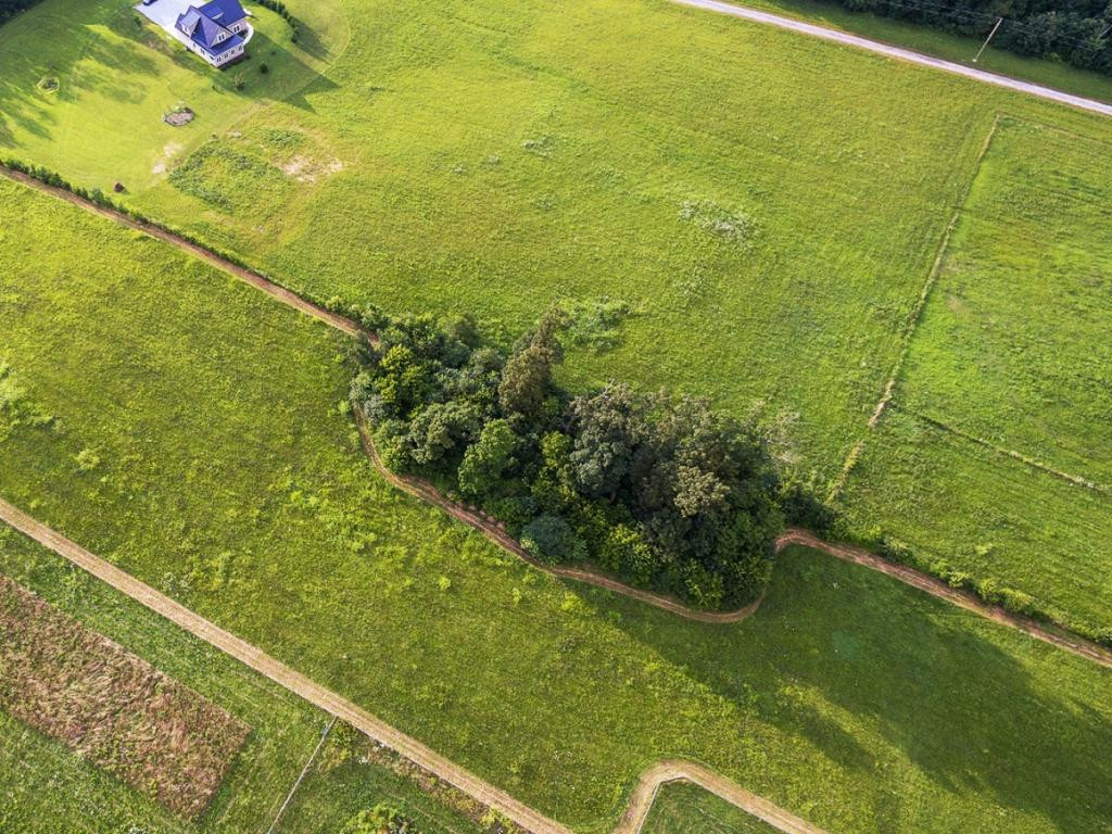 174 Richard Blake Road Greeneville, TN 37743 - Photo 3 of 11 Photo 3