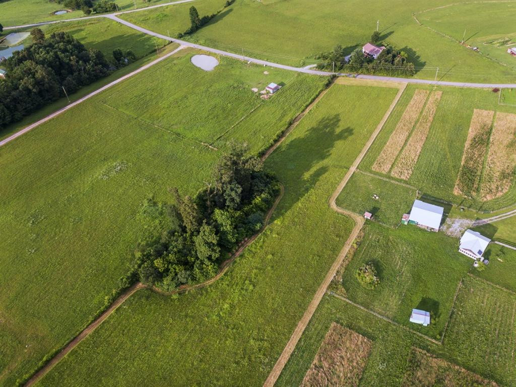174 Richard Blake Road Greeneville, TN 37743 - Photo 5 of 11 Photo 5