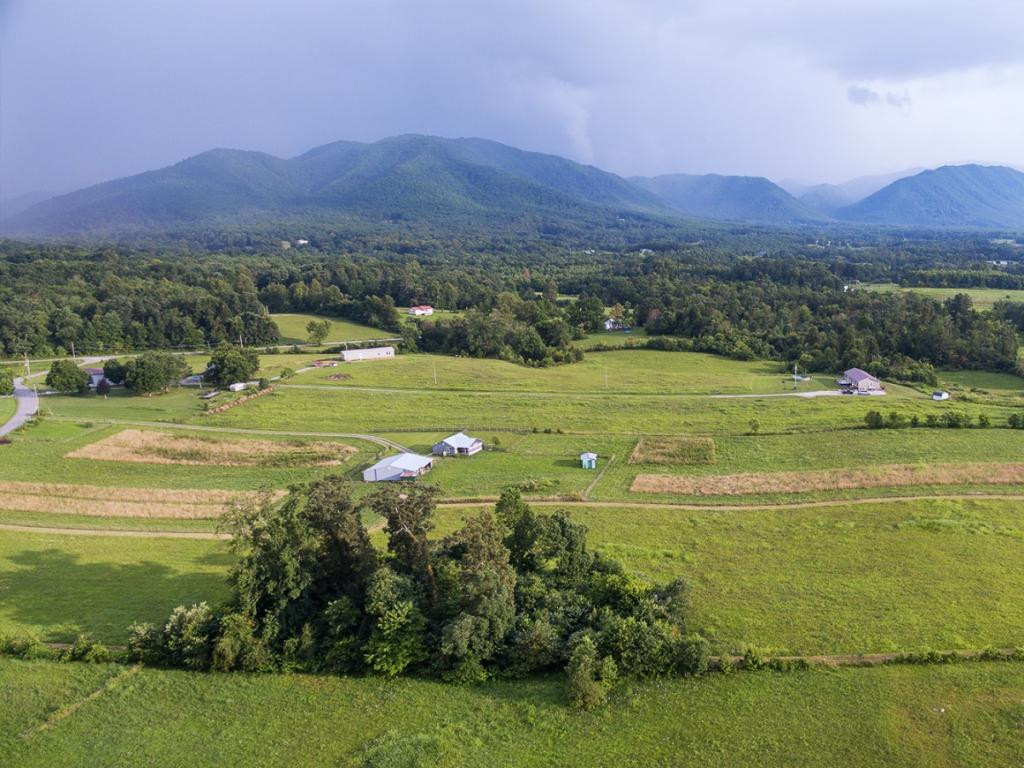 174 Richard Blake Road Greeneville, TN 37743 - Photo 7 of 11 Photo 7
