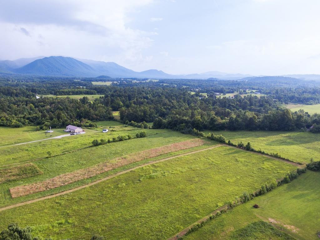174 Richard Blake Road Greeneville, TN 37743 - Photo 8 of 11 Photo 8