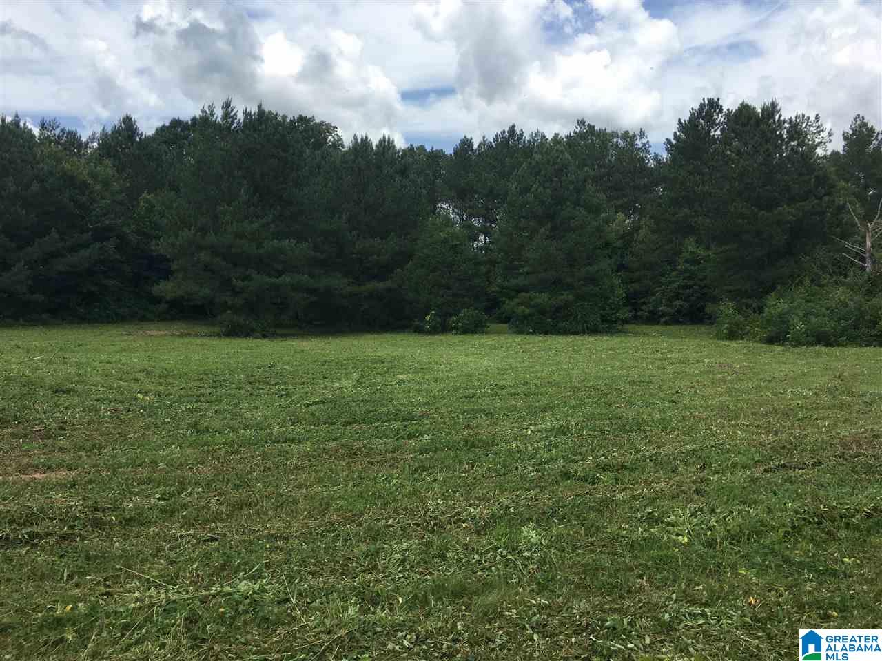 0 Duck Springs Road, Unit 2 PARCELS Attalla, AL 35954 - Photo 1 of 24