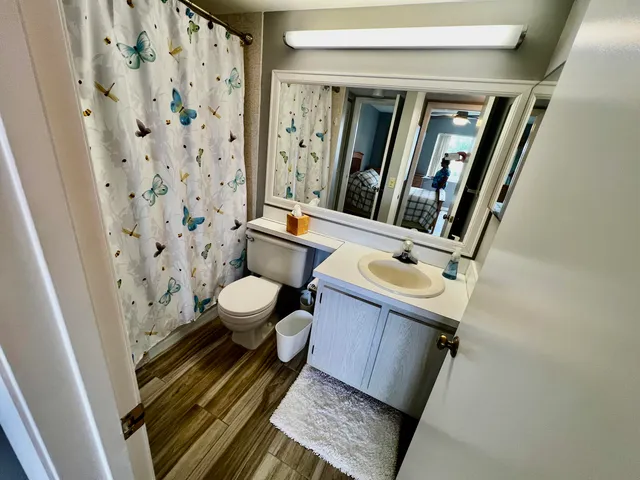 a bathroom with a sink a toilet a mirror and shower curtain
