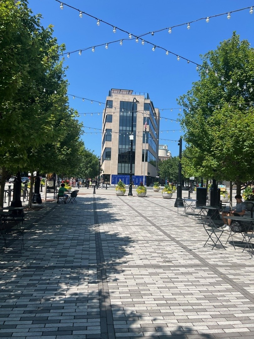 1720 Maple Avenue, Unit 1170 Evanston, IL 60201 - Photo 31 of 36