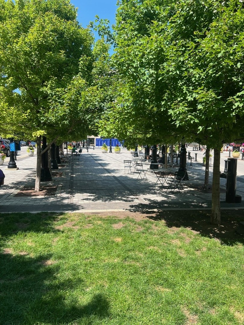 1720 Maple Avenue, Unit 1170 Evanston, IL 60201 - Photo 32 of 36