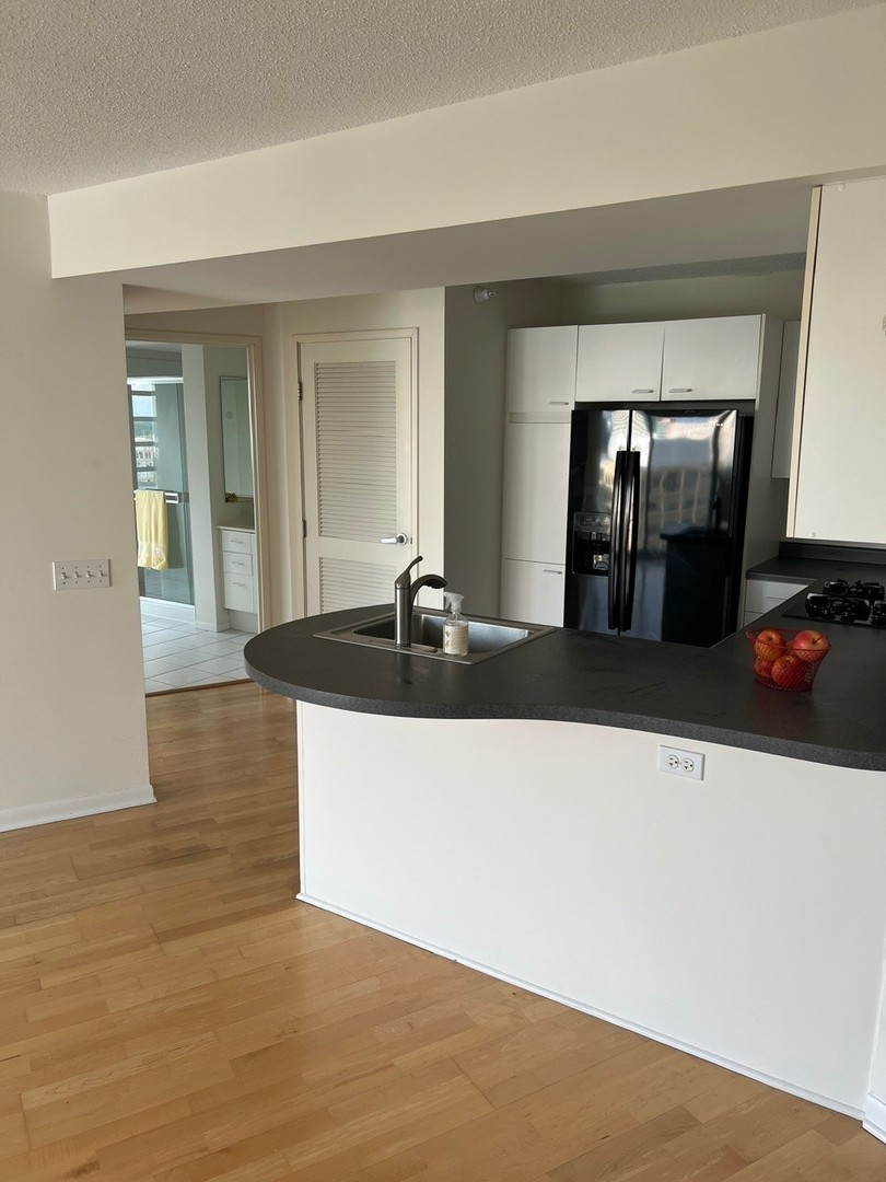 1720 Maple Avenue, Unit 1170 Evanston, IL 60201 - Photo 5 of 36