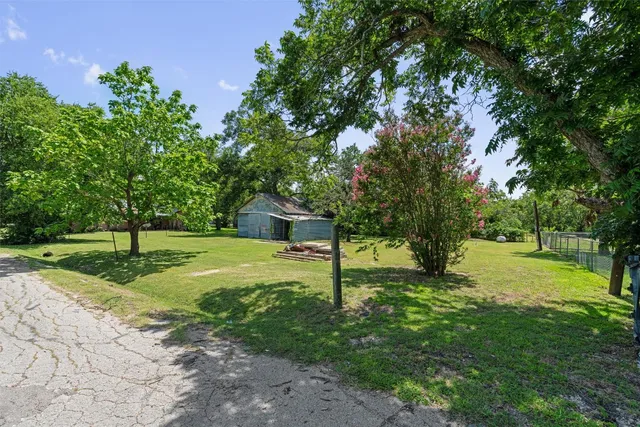 a view of a tree in a yard